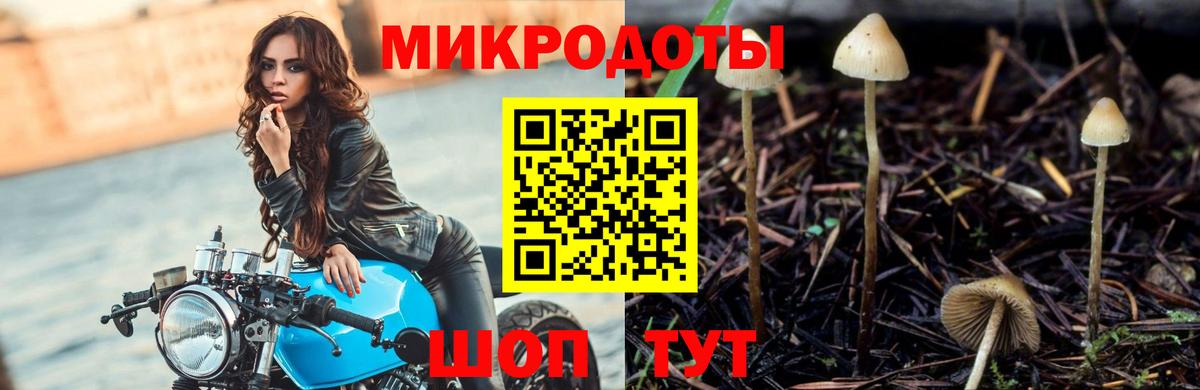 Галлюциногенные грибы GOLDEN TEACHER  Вход с VPN  Реутов  Галлюциногенные грибы прущие грибы 