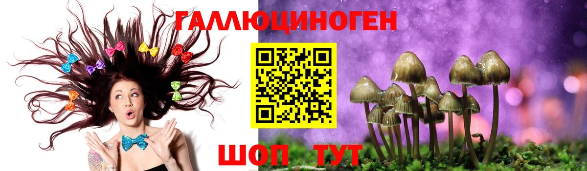 Галлюциногенные грибы Cubensis Реутов