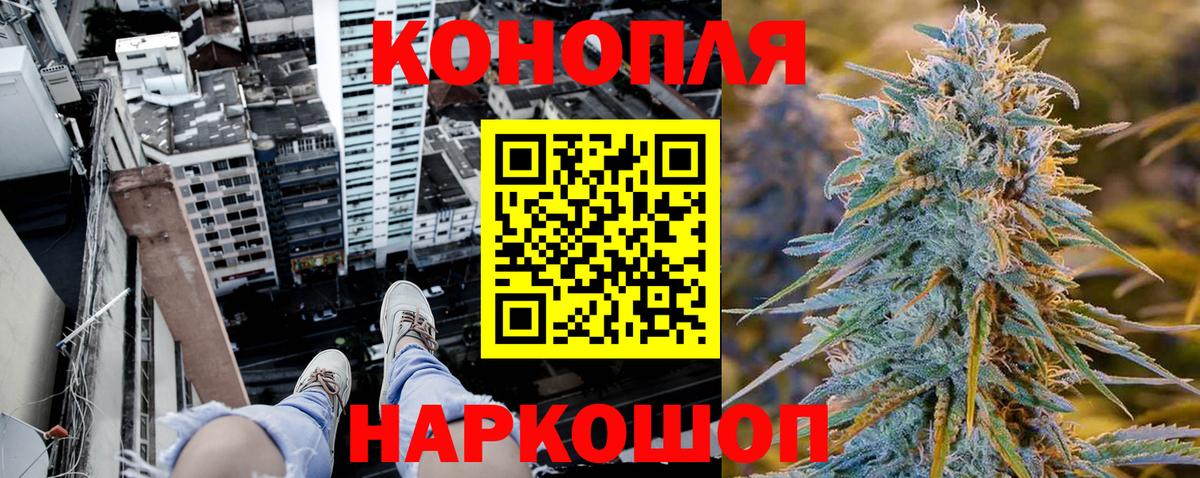 Бошки Шишки семена Реутов